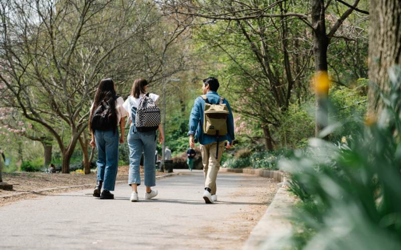 wandelen lunchpauze 10.000 stappen